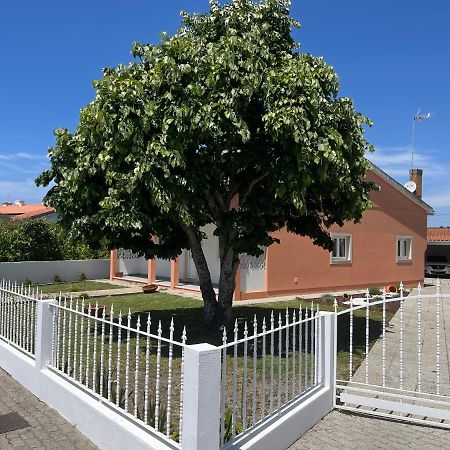 Moradia Alegre No Centro Da Vila Da Tocha. Exterior foto